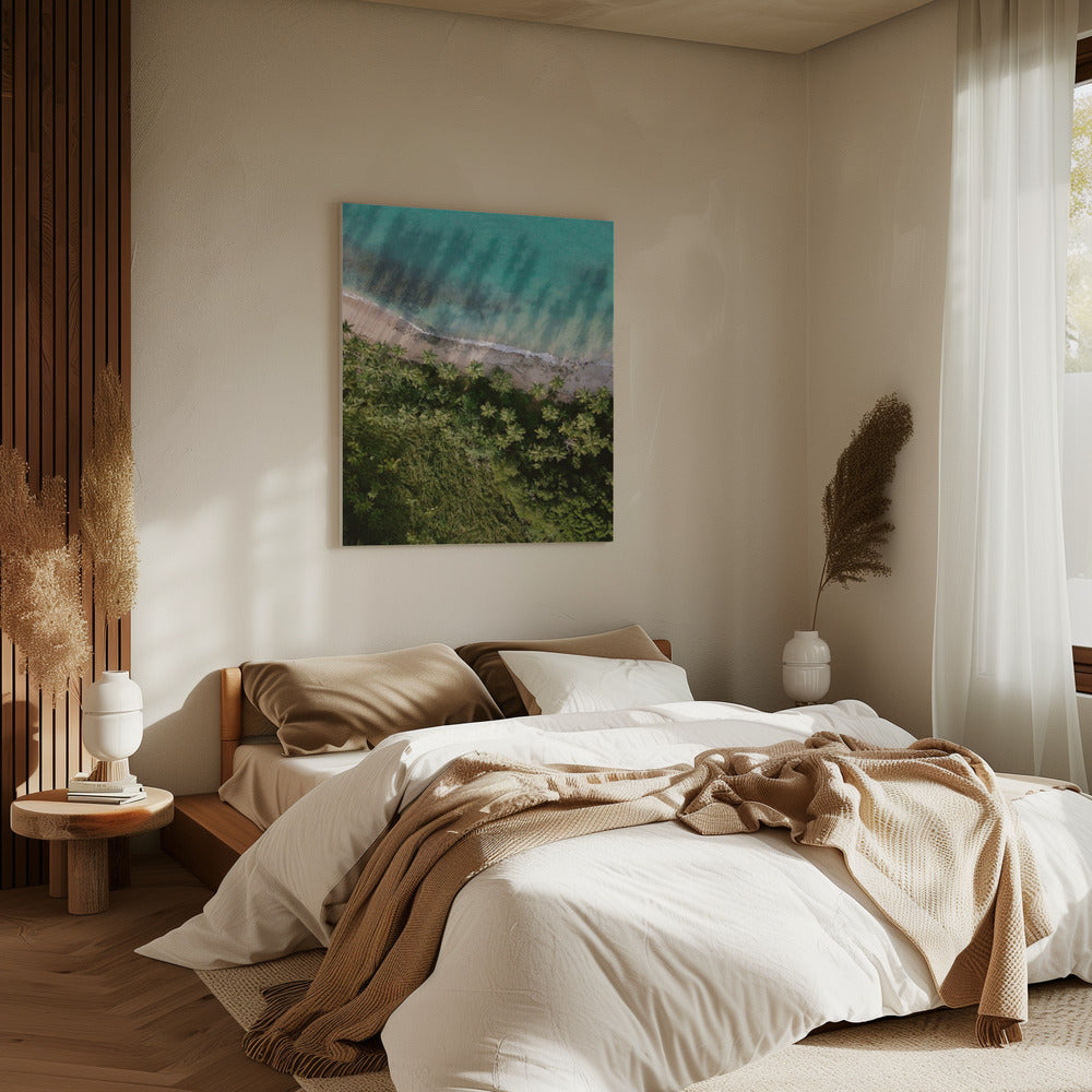 Palm Beach from Above | Canvas