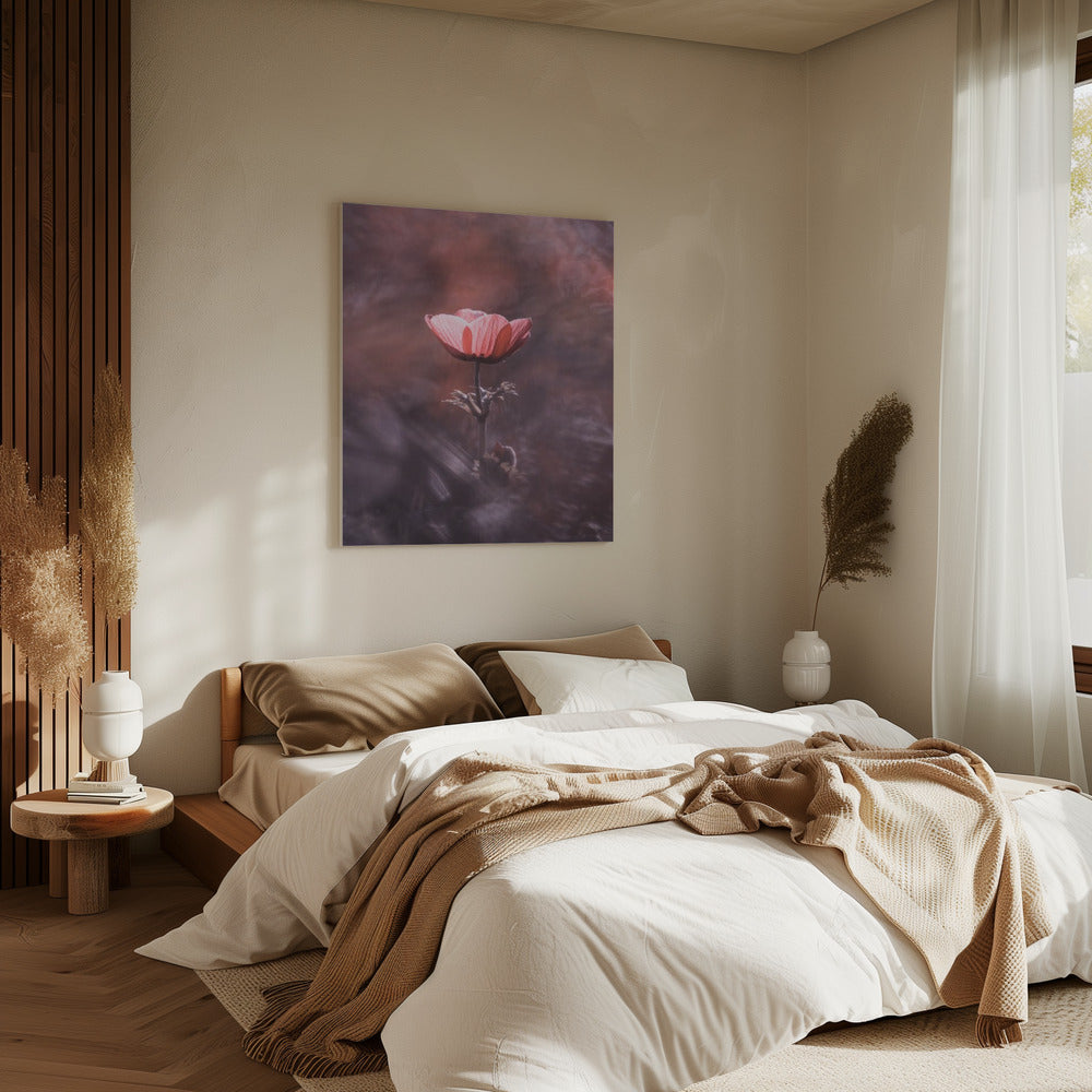 Ardente | Canvas