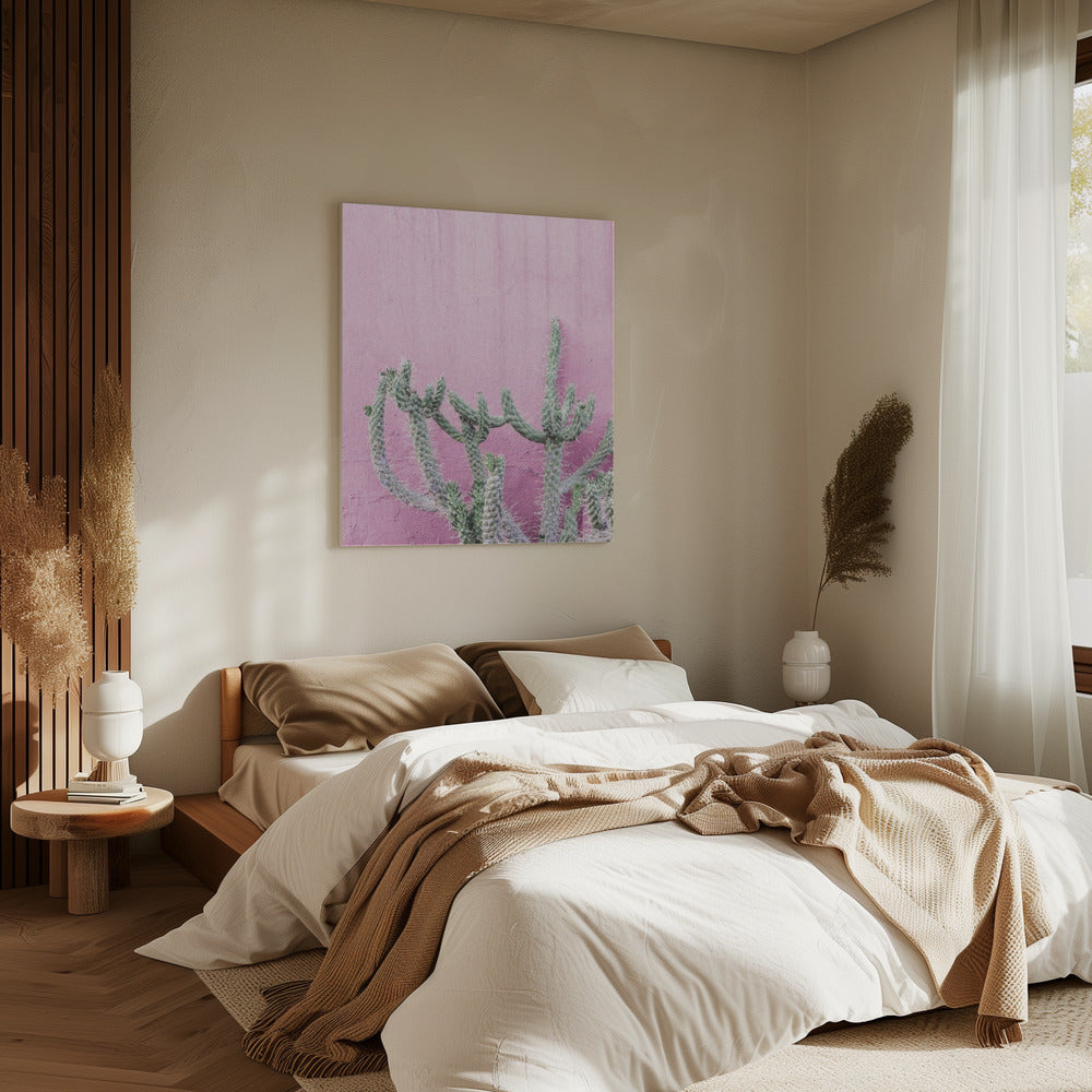 Cactus On Pink | Canvas