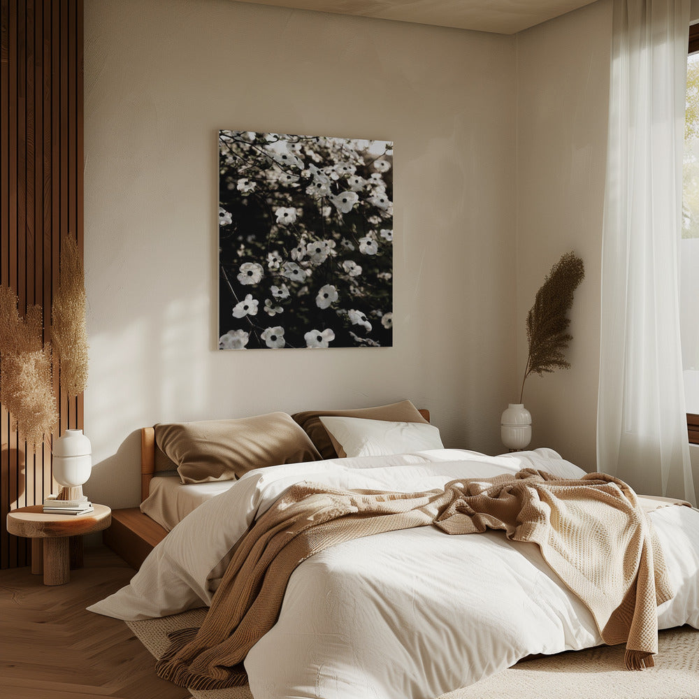 White Spring Tree 5 | Canvas