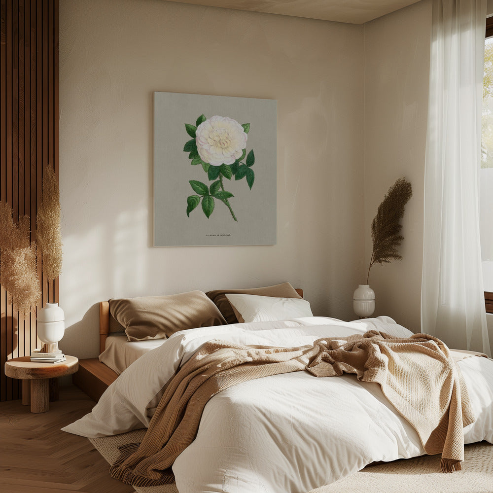Rose Marie De Saint Jean | Canvas