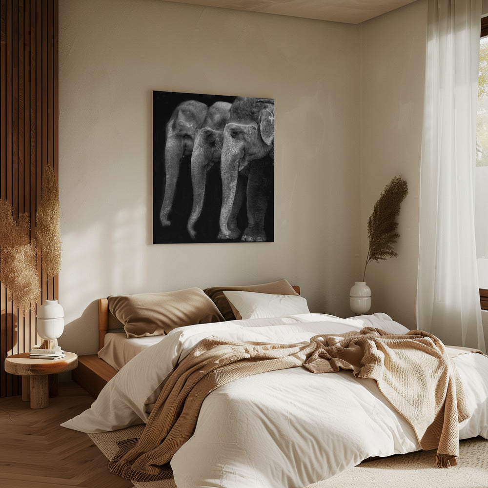 Nature\'s great masterpiece, an elephant; the only harmless great thing ... | Canvas
