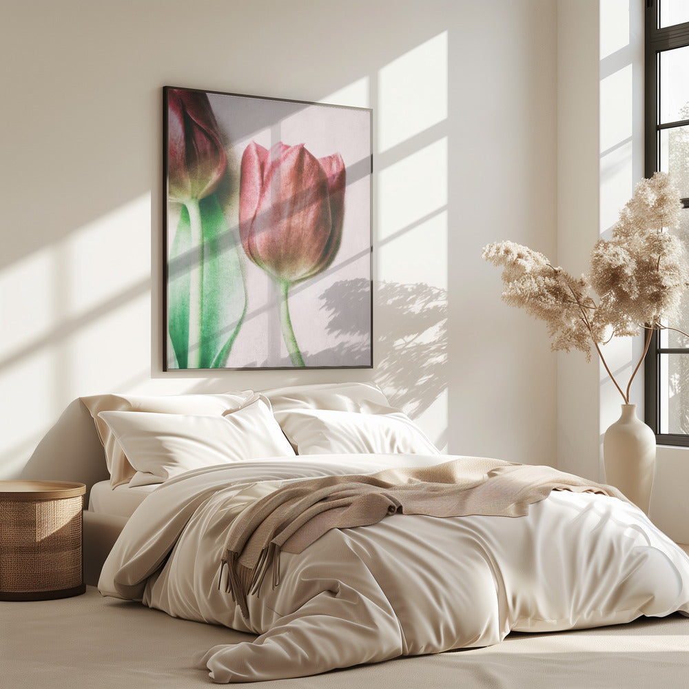 The Spring Lovers | Poster