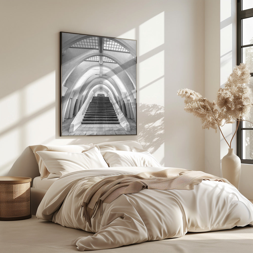 Calatrava lines | Poster