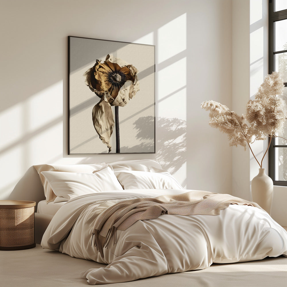 Fading Elegance | Poster