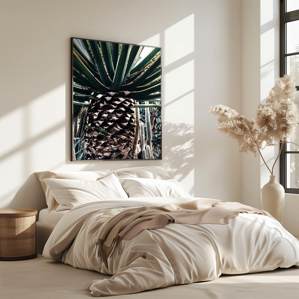 Cactus Plant | Poster