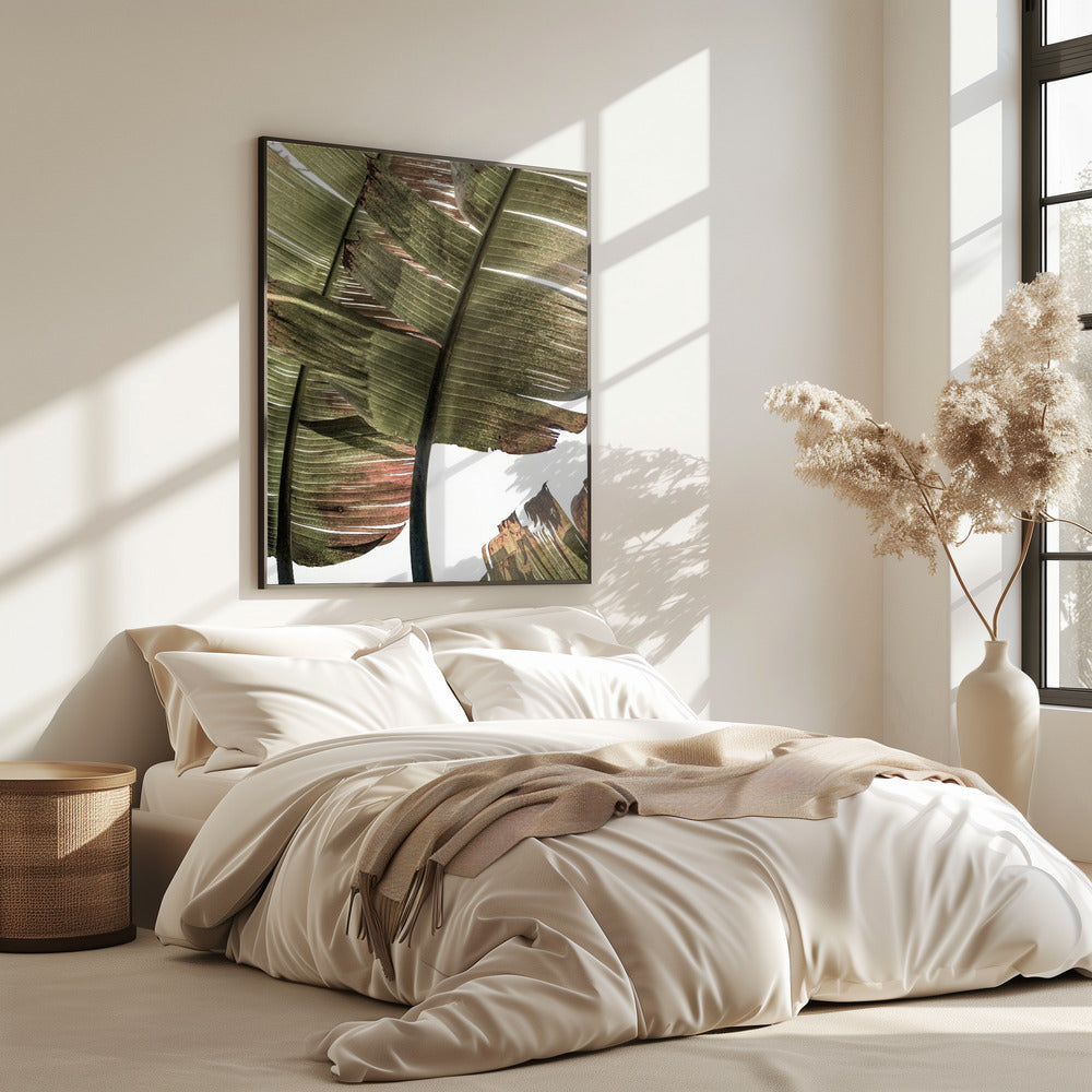 Tropical Serenity | Poster