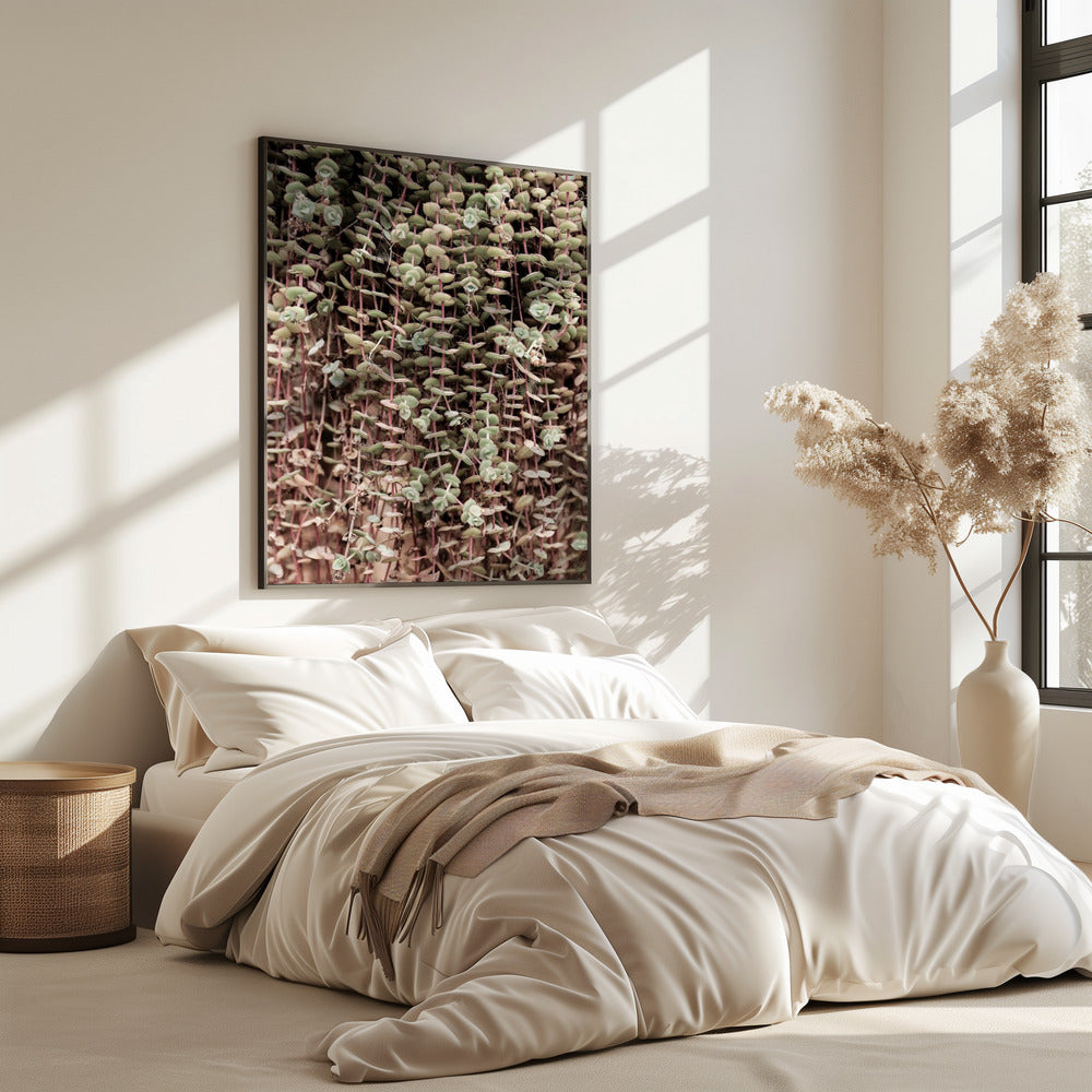 Succulent Symphony | Poster