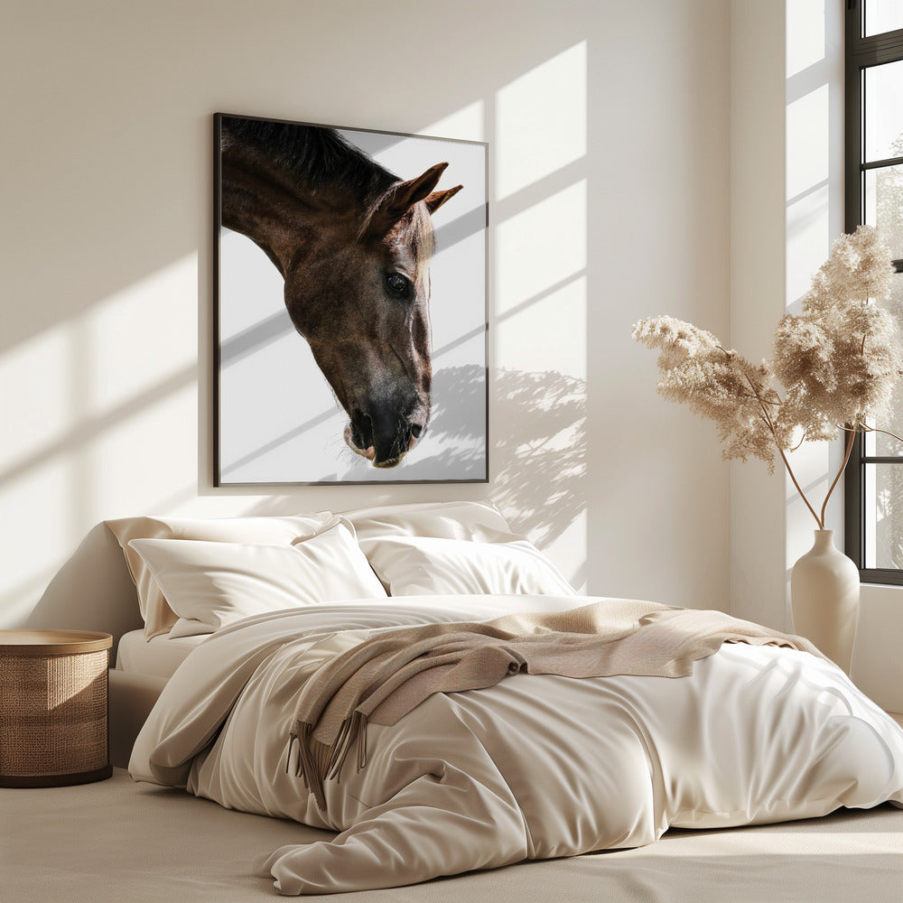 Majestic Equine Gaze | Poster