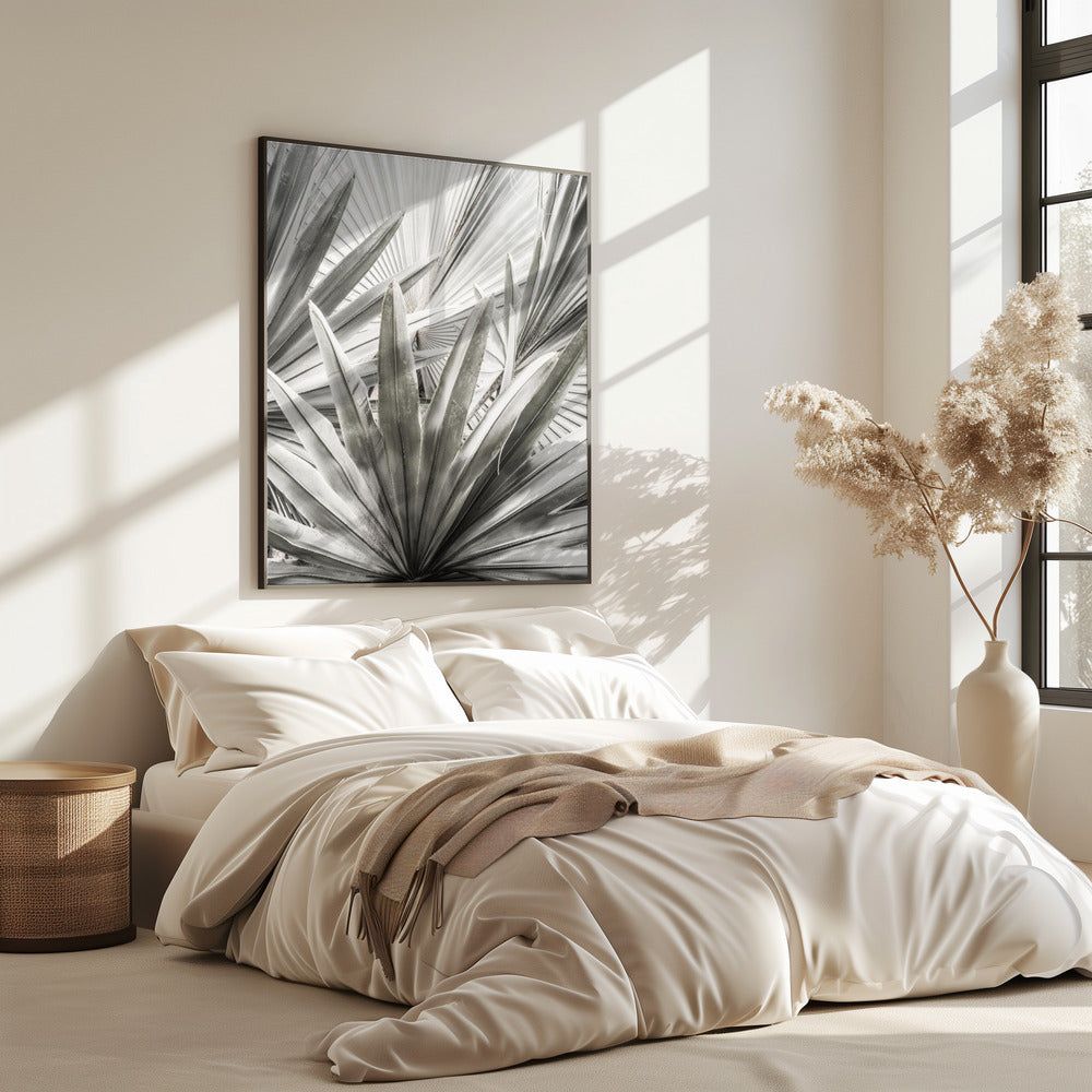 Silver Fronds | Poster