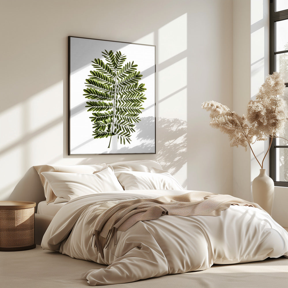 Fern&#039;s Symphony | Poster