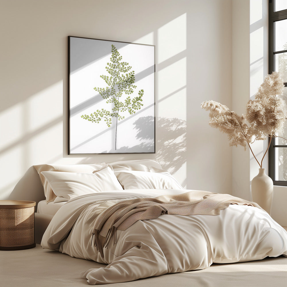 Fern Elegance | Poster