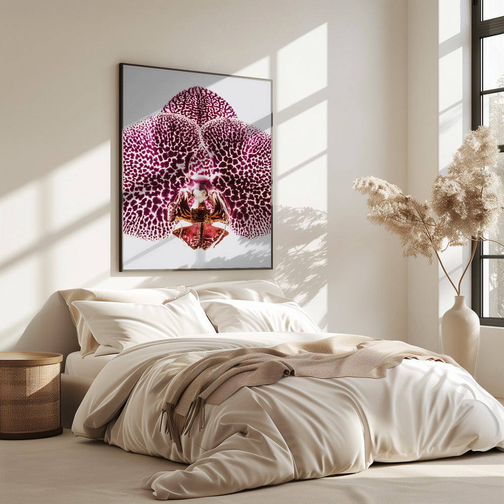 Petal Symmetry Burst | Poster