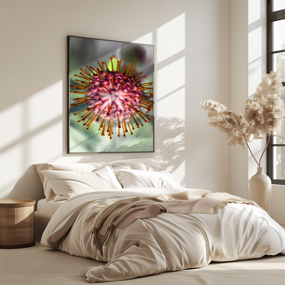 Blooming Radiance | Poster