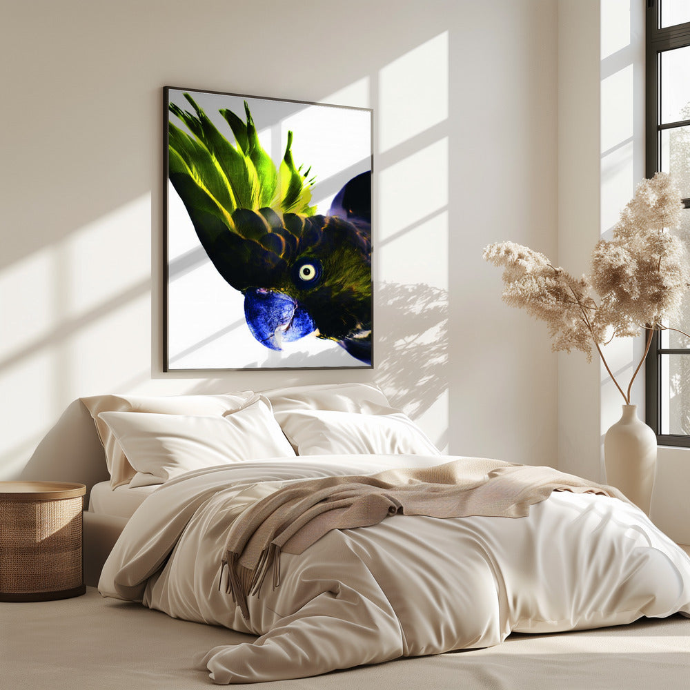 Vivid Bird Glance | Poster