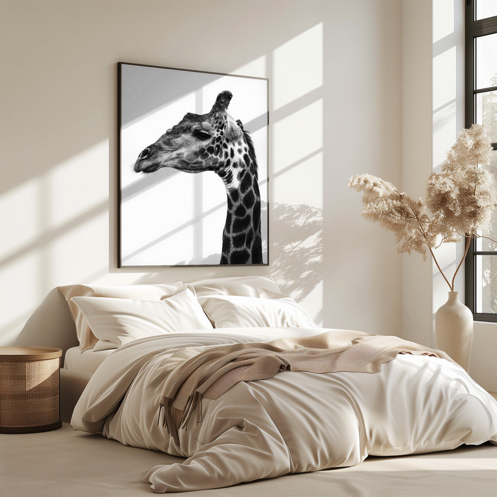 Intricate Patterns Of A Giraffe&#039;s Skin | Poster