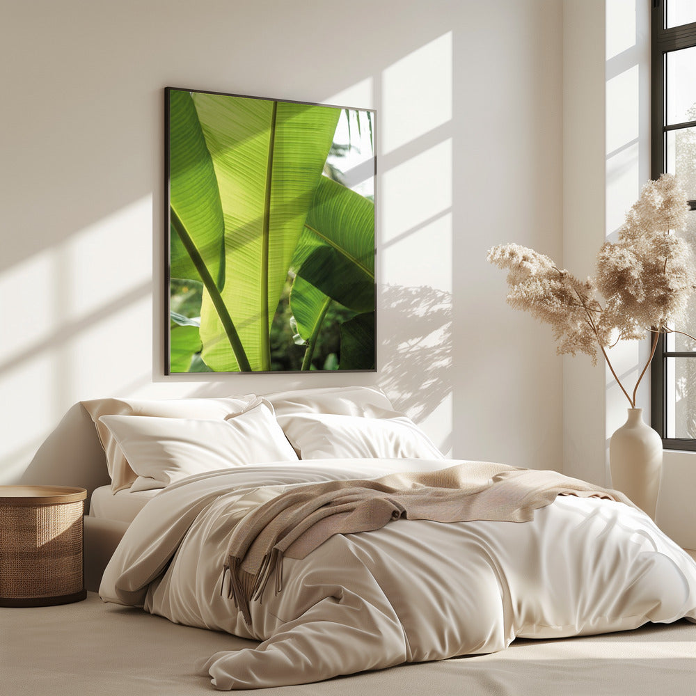 Tropical Banana Leaves | Poster