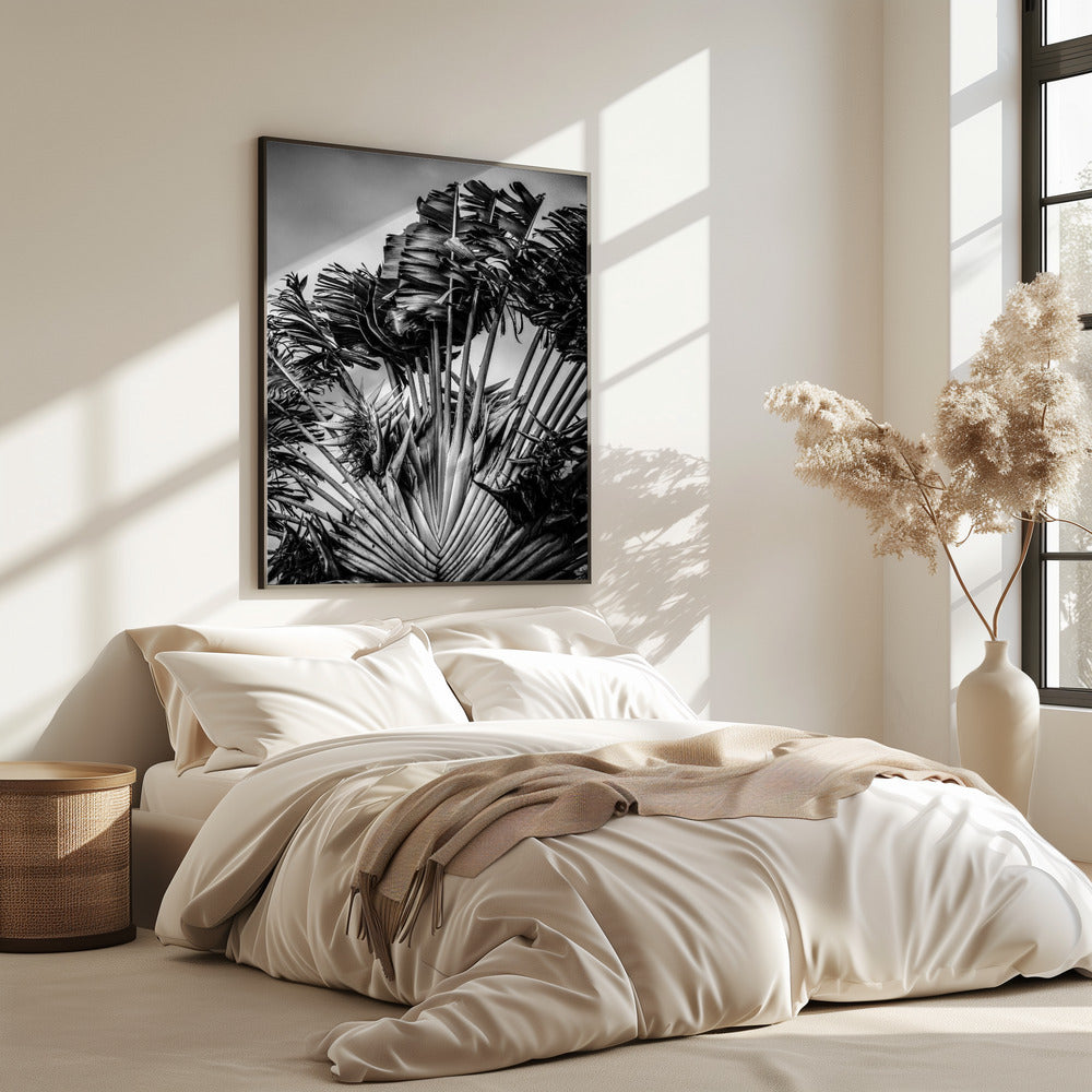 Tropical Dancer | Poster