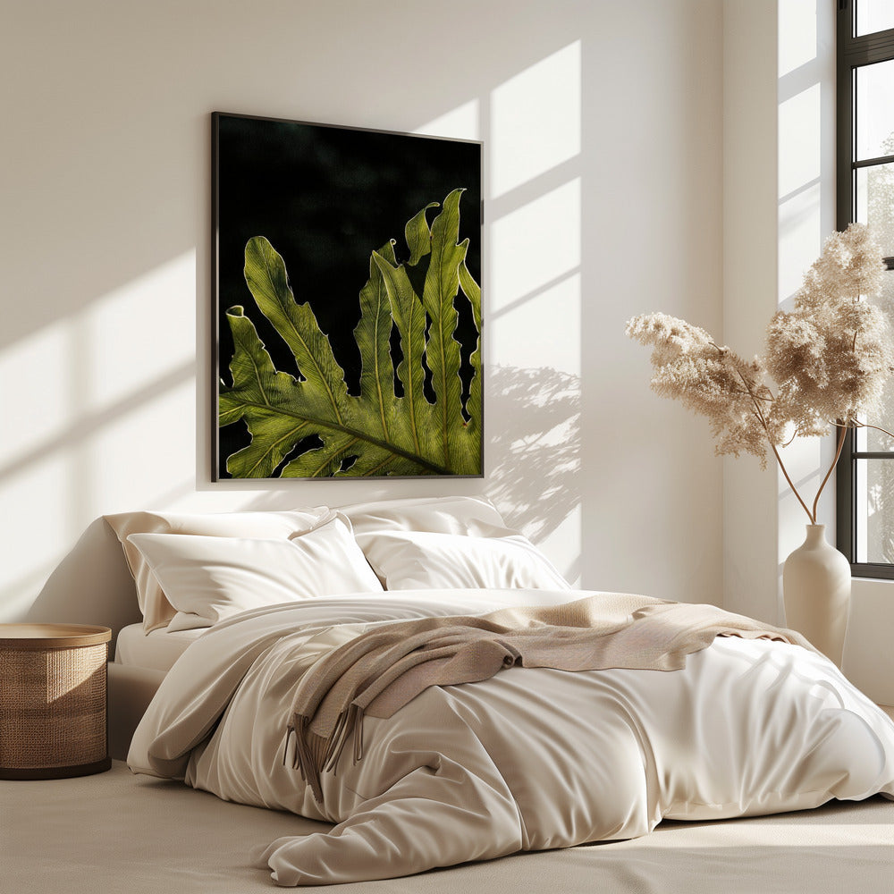 Leafy Silhouette | Poster