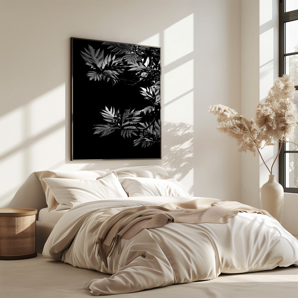 Shadows of Leaves | Poster