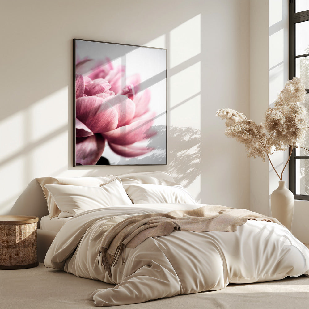 Peony 1 | Poster