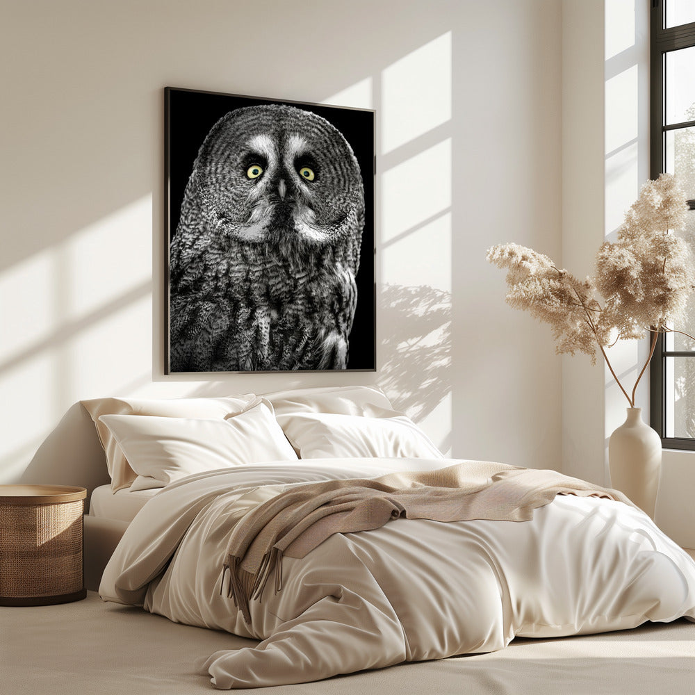 Owl | Poster
