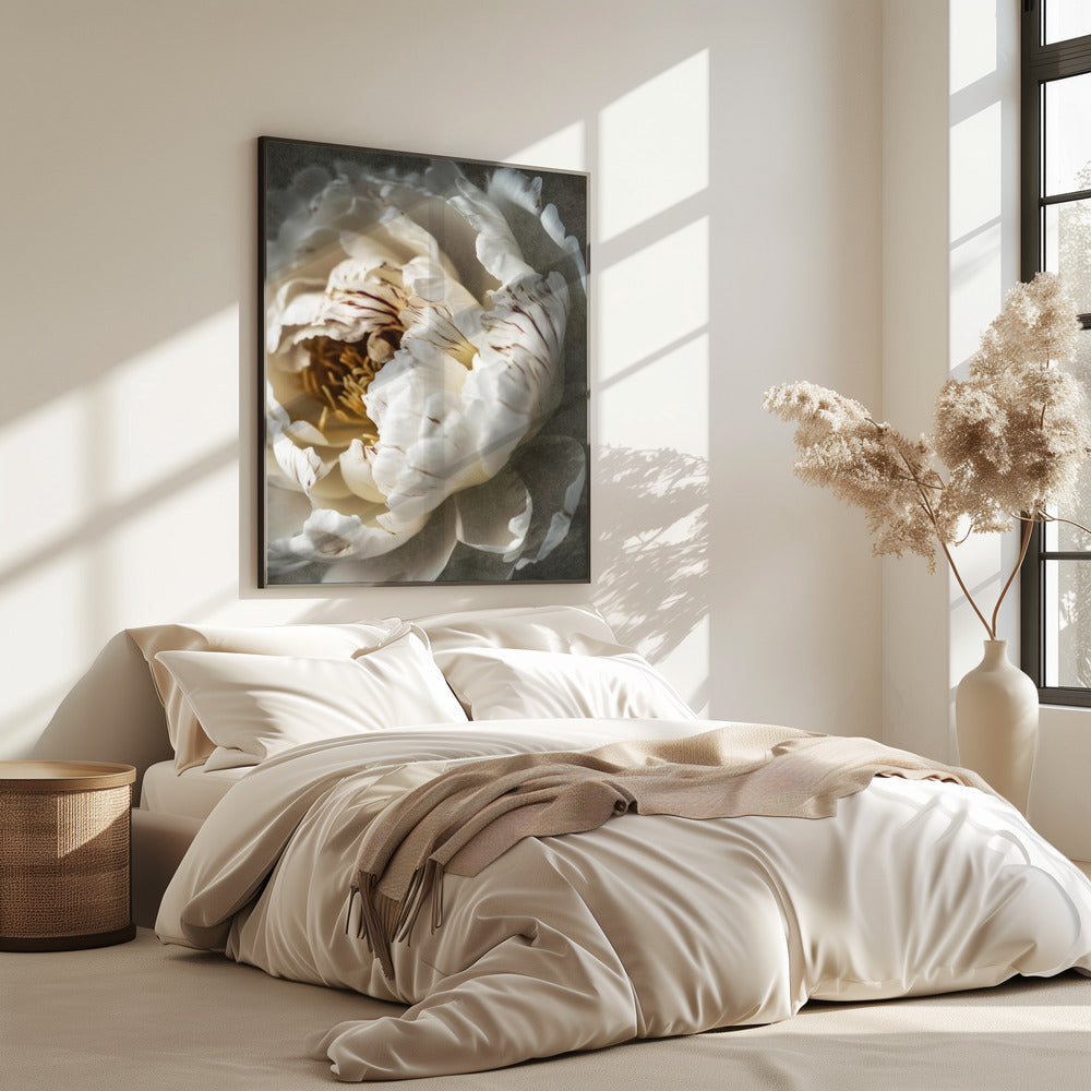 Petals of Serenity | Poster