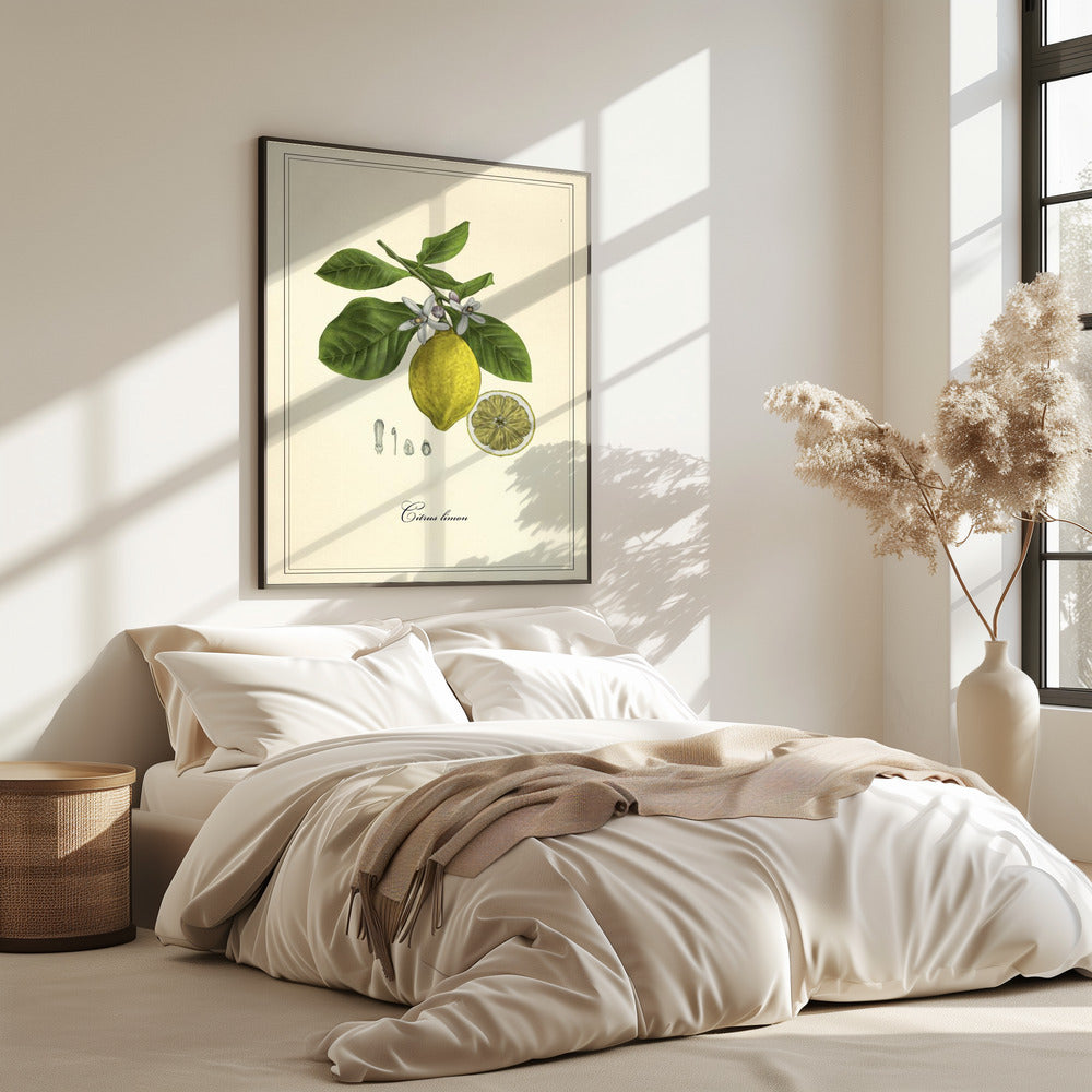 Lemon | Poster