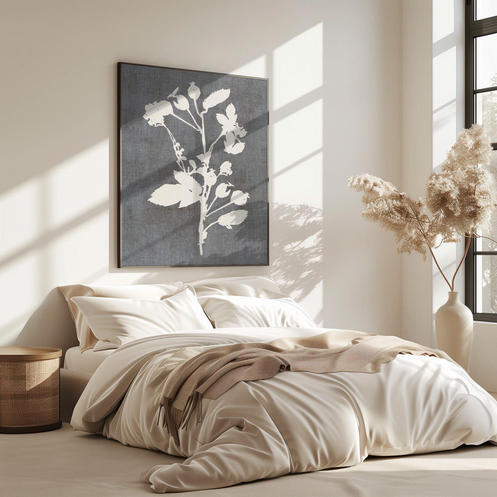 Botanical Illustration 6 | Poster