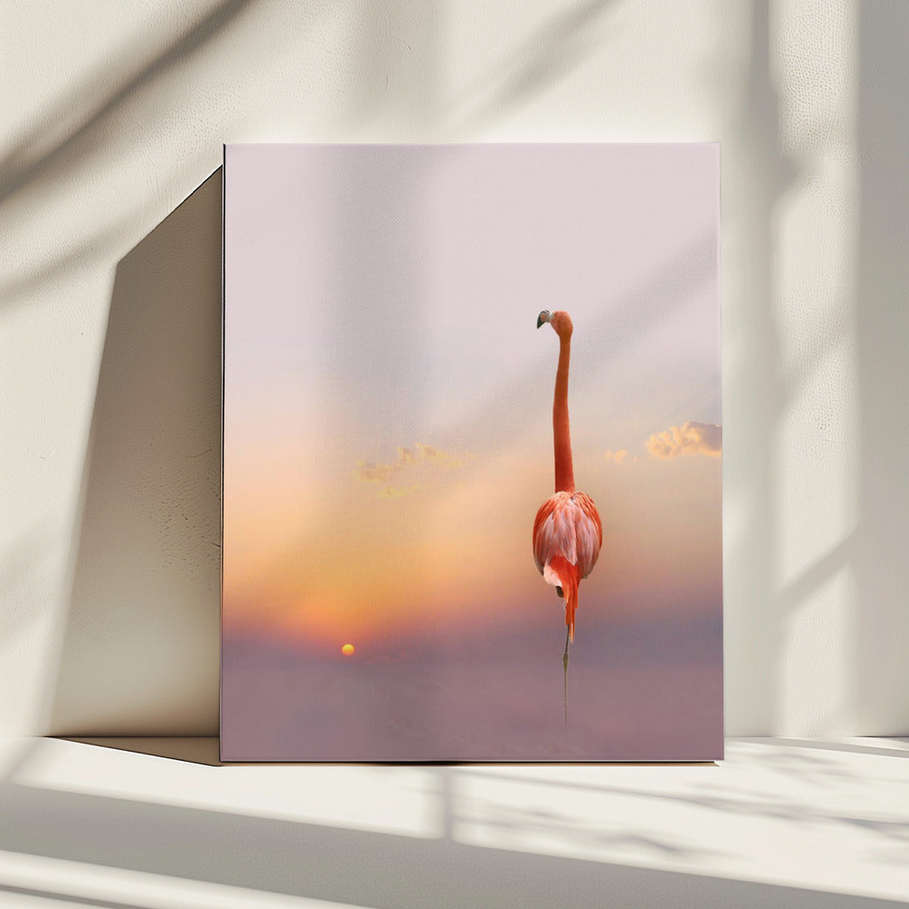 sunset ... | Canvas