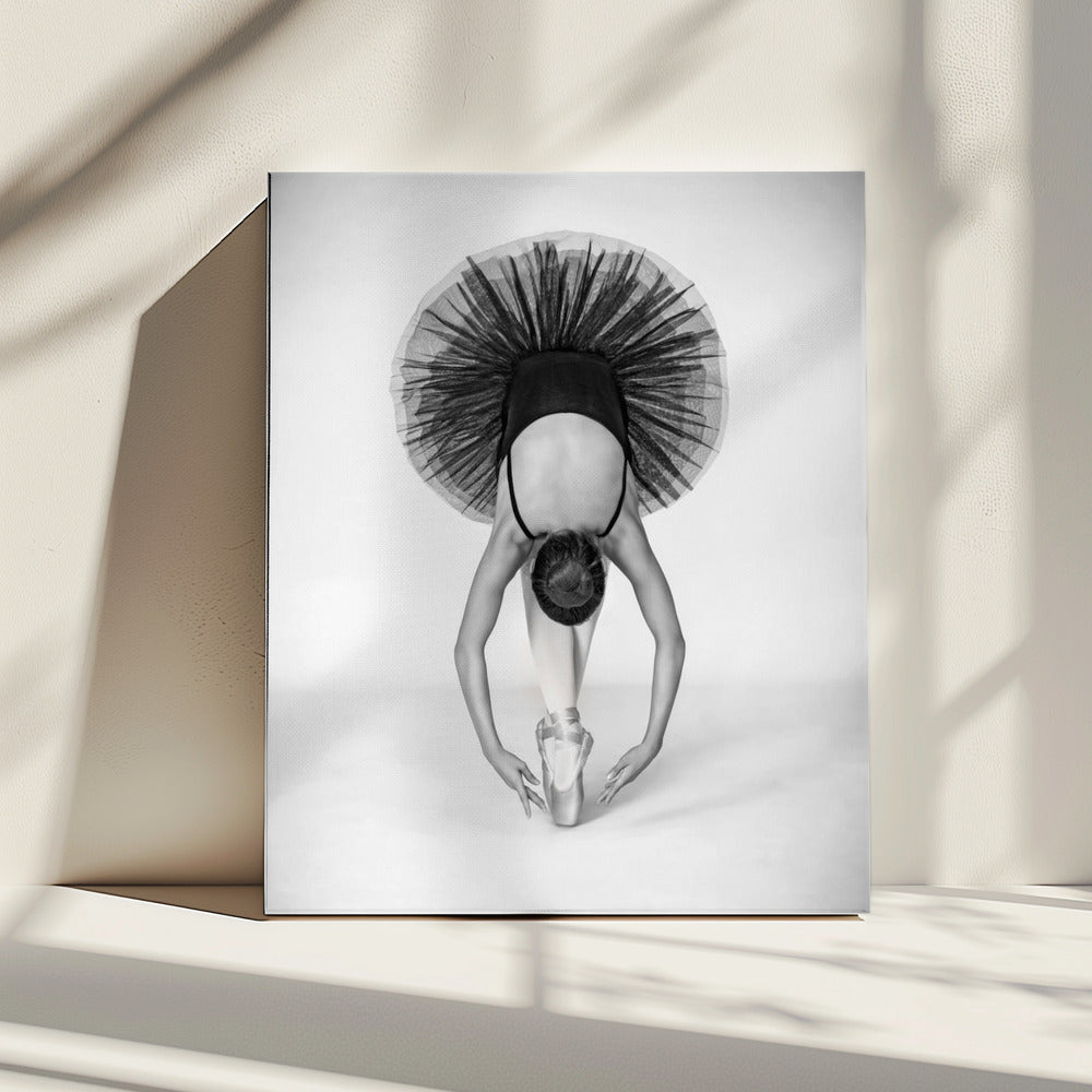 Ballet Technique | Canvas