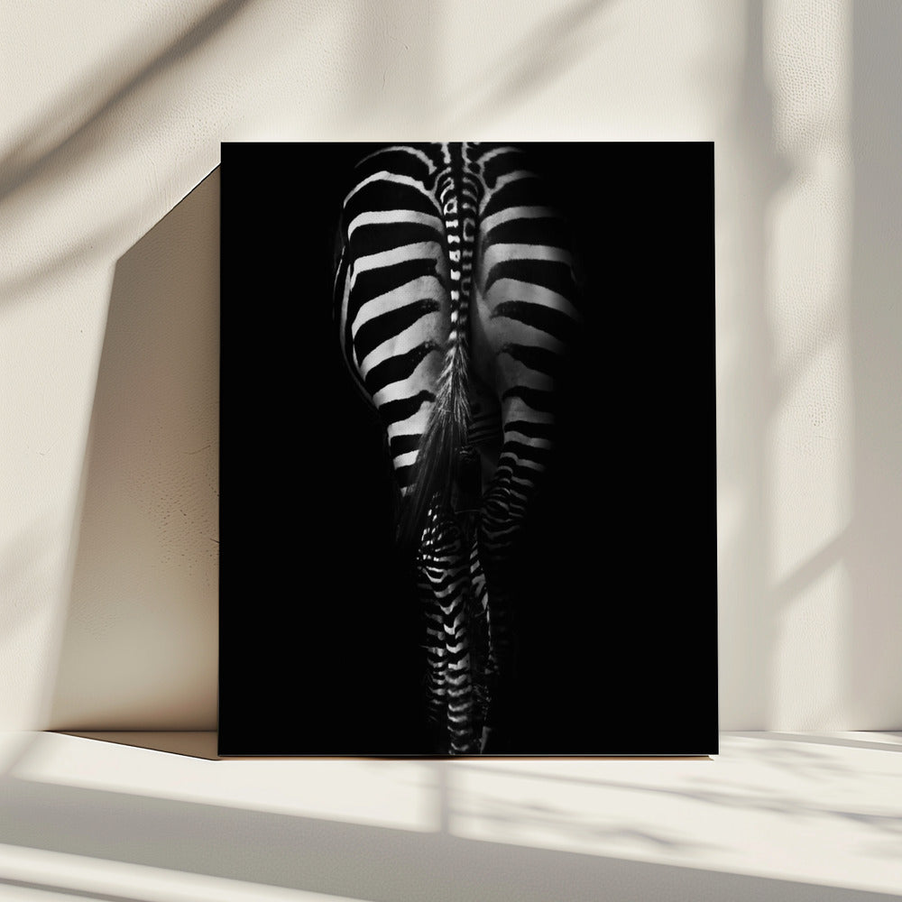Untitled | Canvas