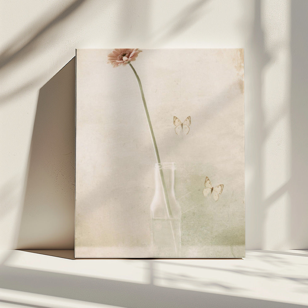 Miss Daisy | Canvas