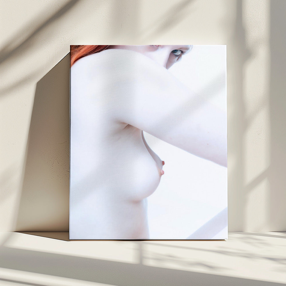 Shapes and Curves 1 | Canvas