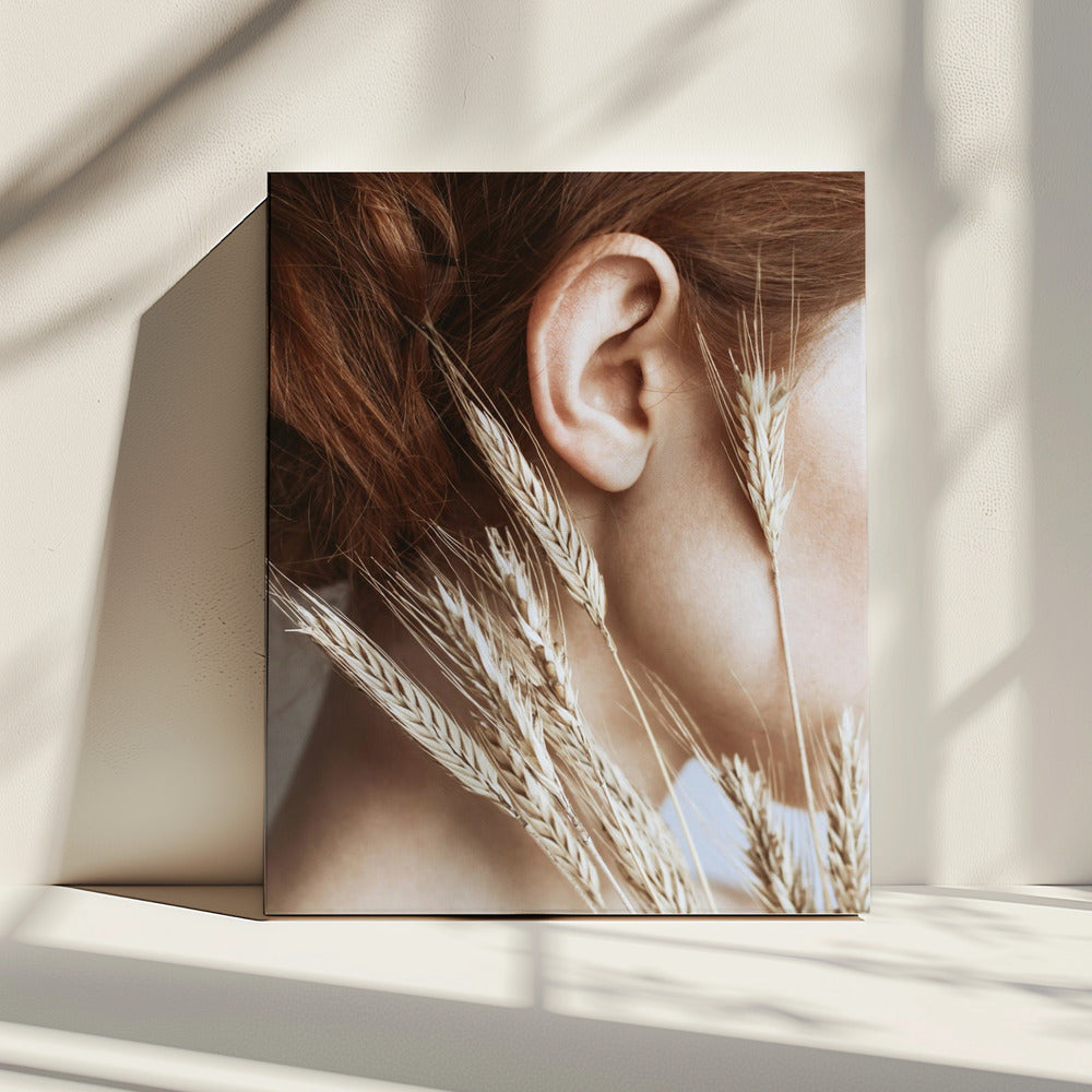 Rye | Canvas