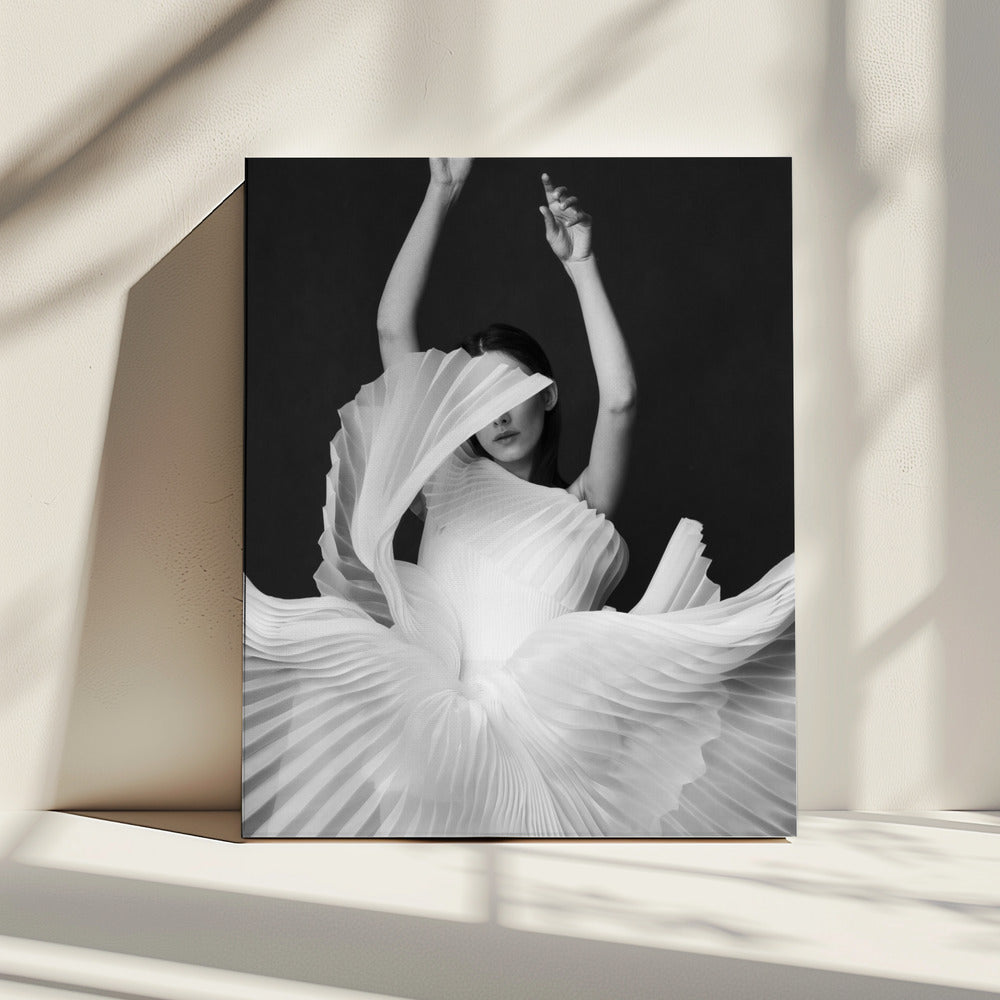 Amadeus | Canvas
