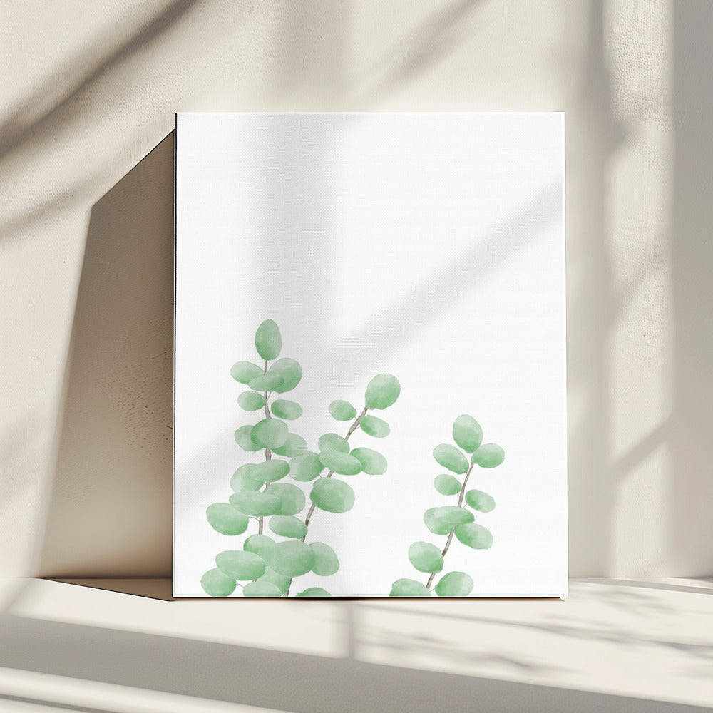 Branches | Canvas
