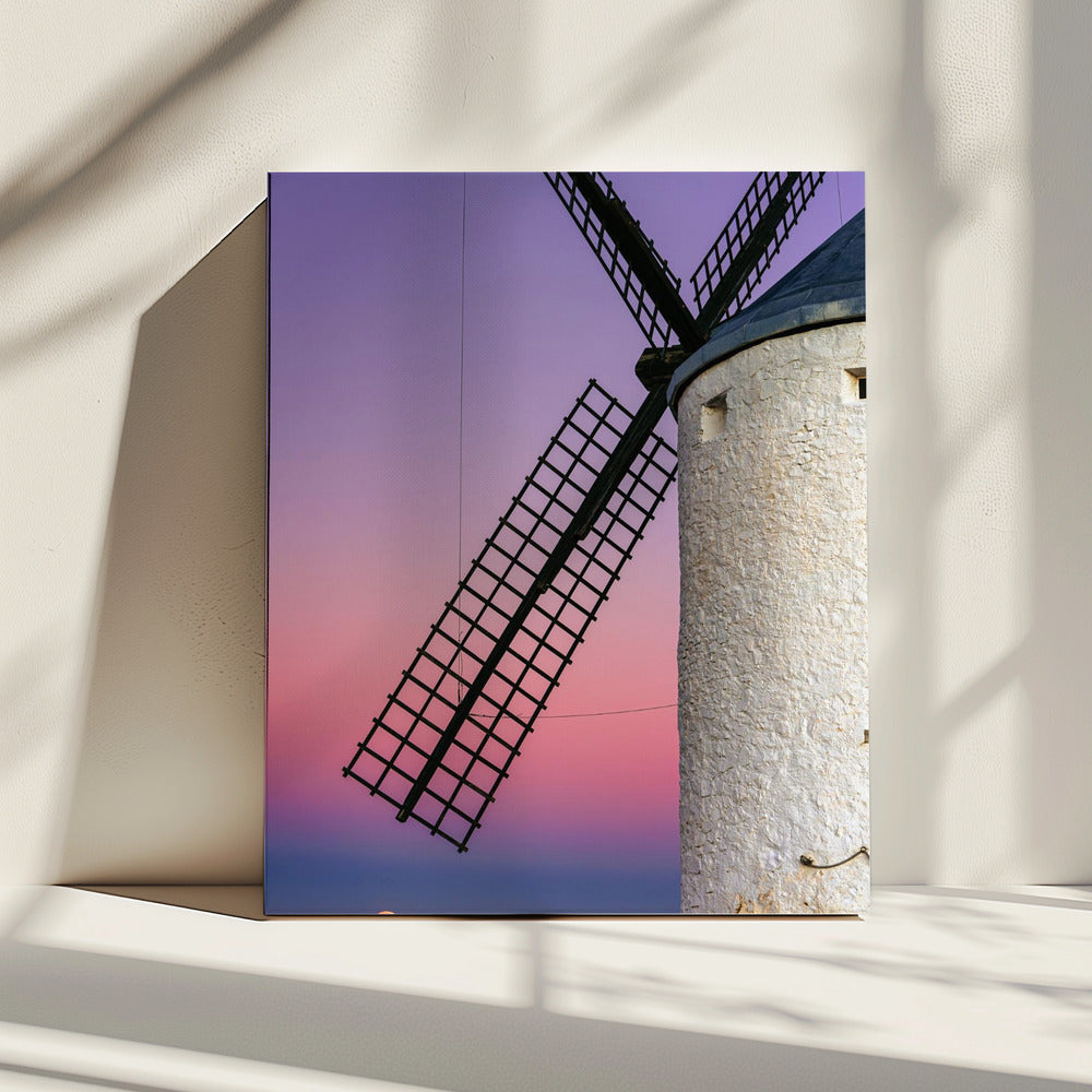DON QUIXOTE'S DREAM | Canvas