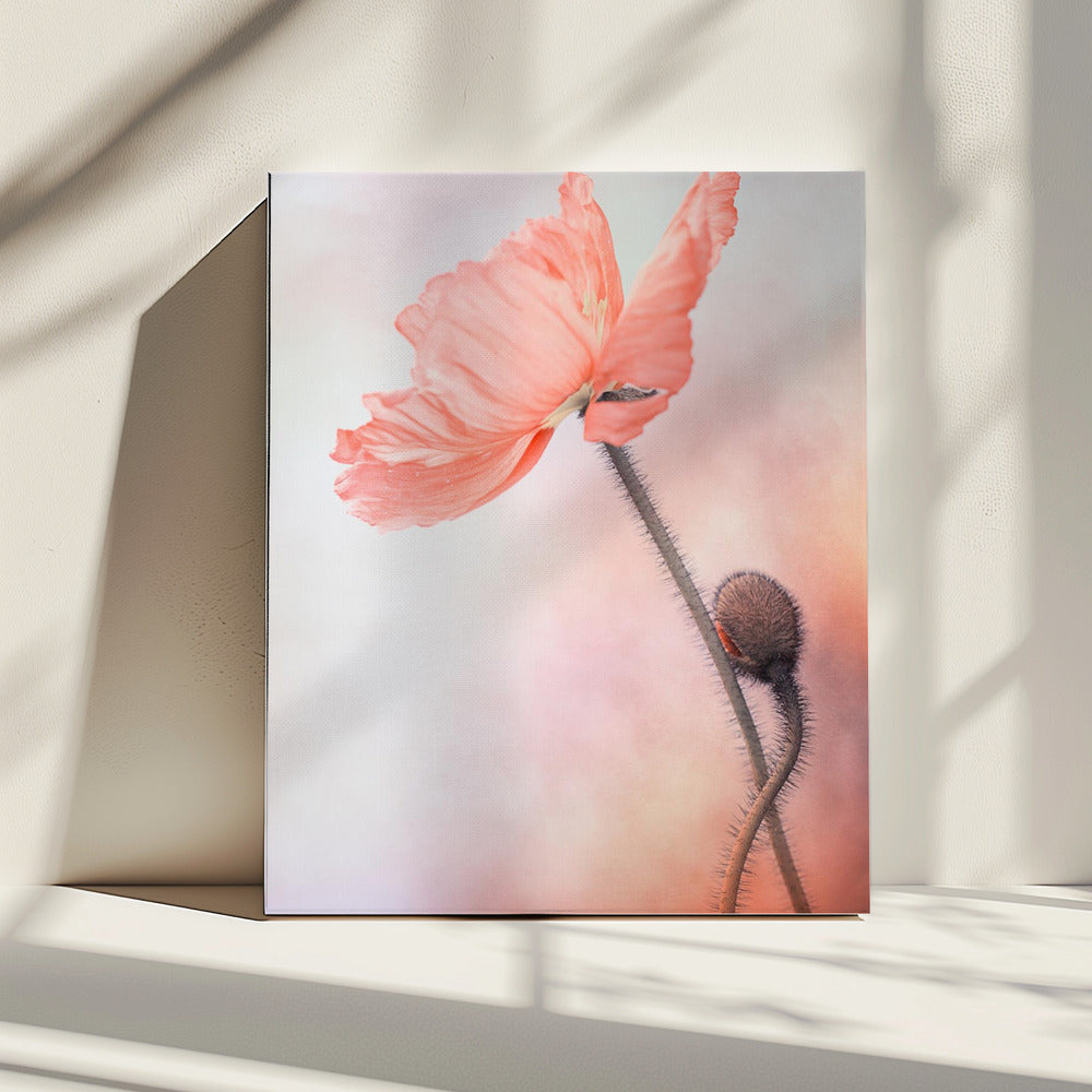 Tenderness | Canvas
