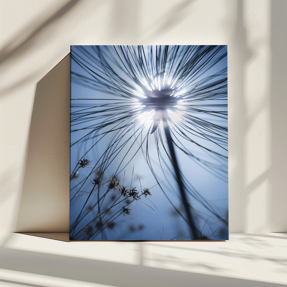 Botanic Blue | Canvas
