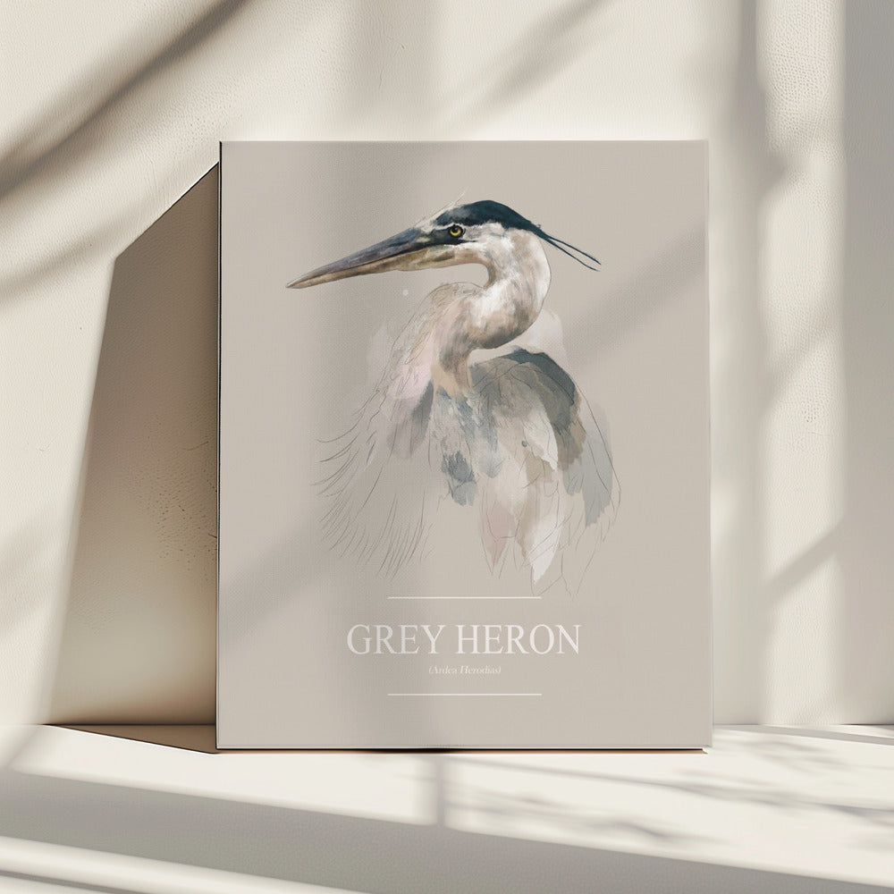 Grey Heron | Canvas