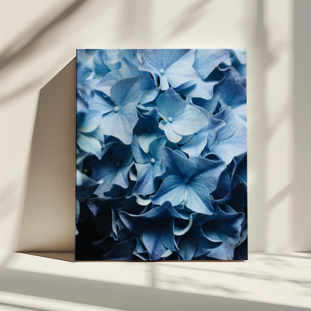 Vibrant Blue Hydrangeas | Canvas