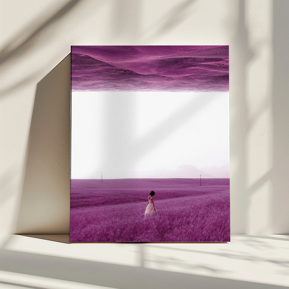 Purple Fields | Canvas
