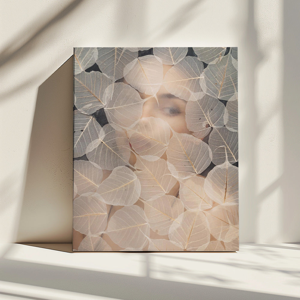 BEHIND GLASS | Canvas