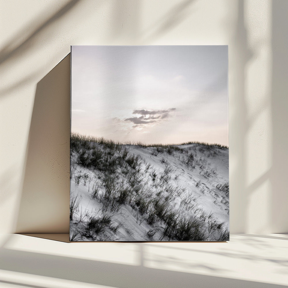 At The Coast | Canvas