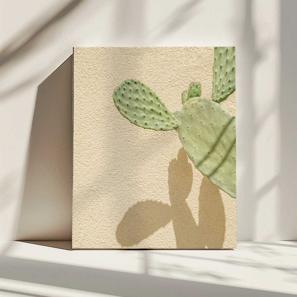 Cacti Shadowplay | Canvas