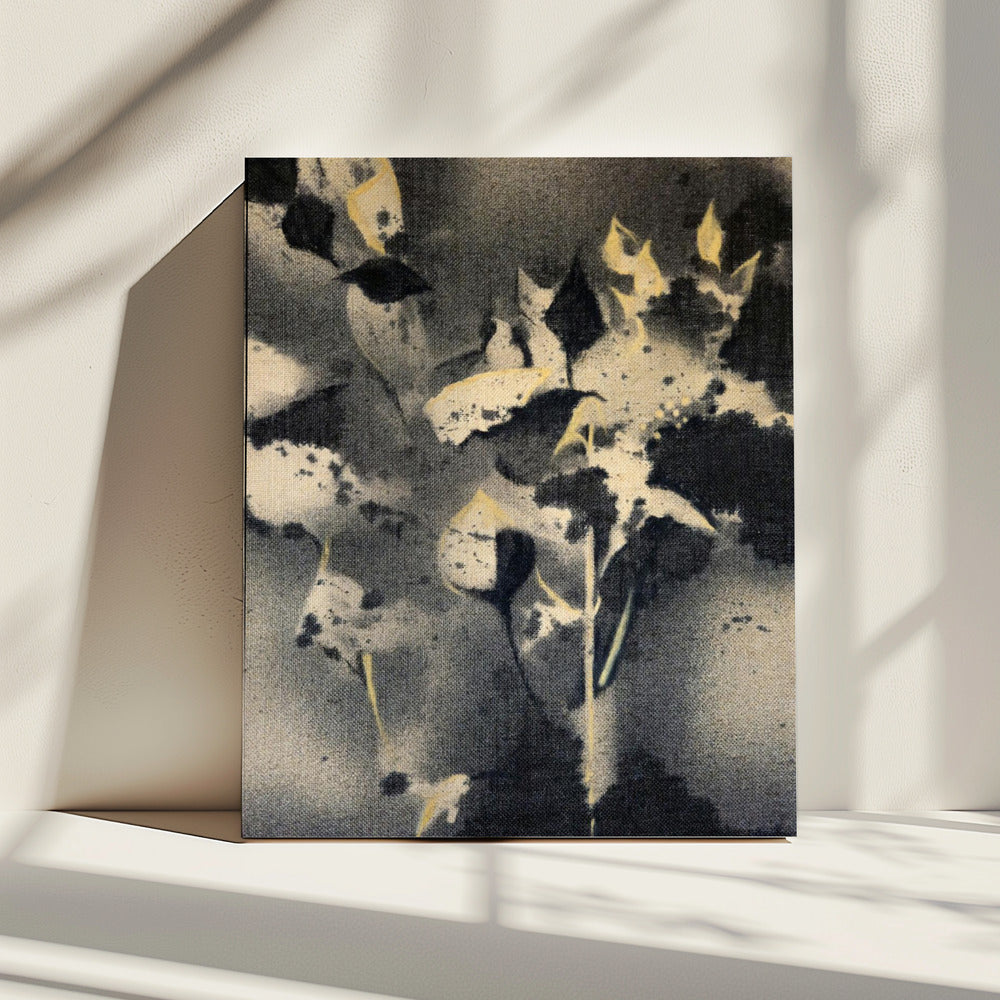 Rf3 2021 Acrylic On Canvas 50x70x2 | Canvas