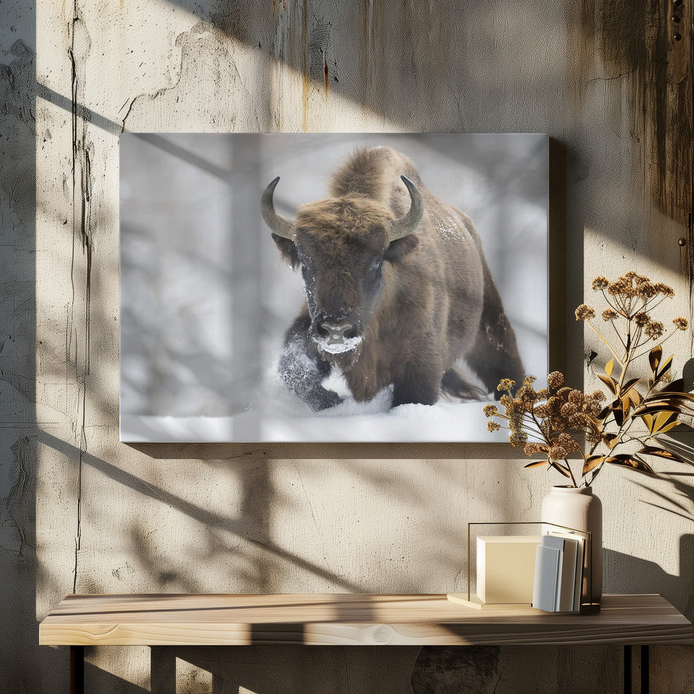 Rewilded | Canvas
