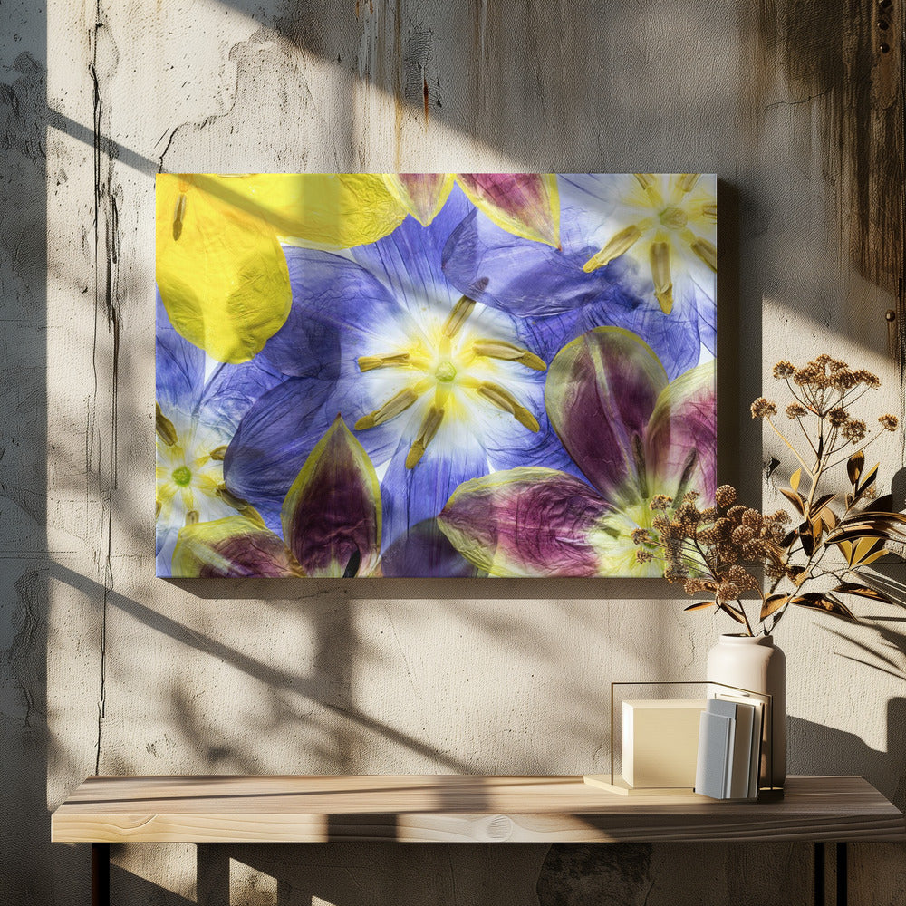 Tulips | Canvas