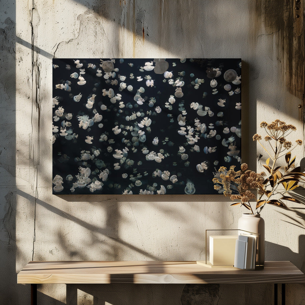 Just some Jellies | Canvas
